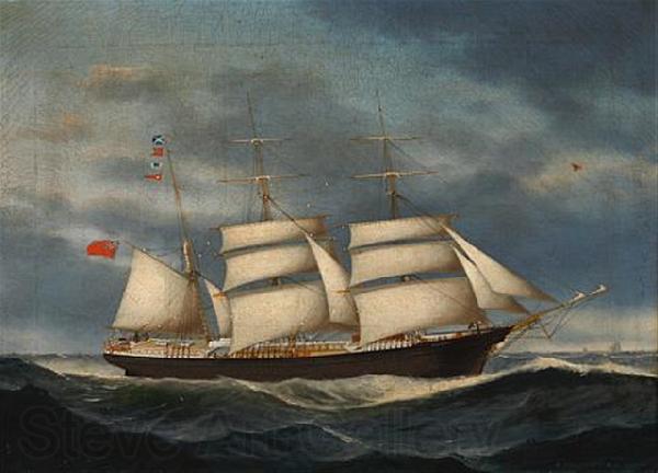 unknow artist The barque Annie Burrill Germany oil painting art